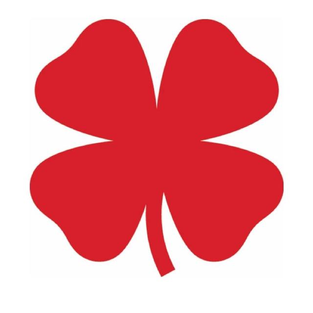 Luckybrand Store Logo