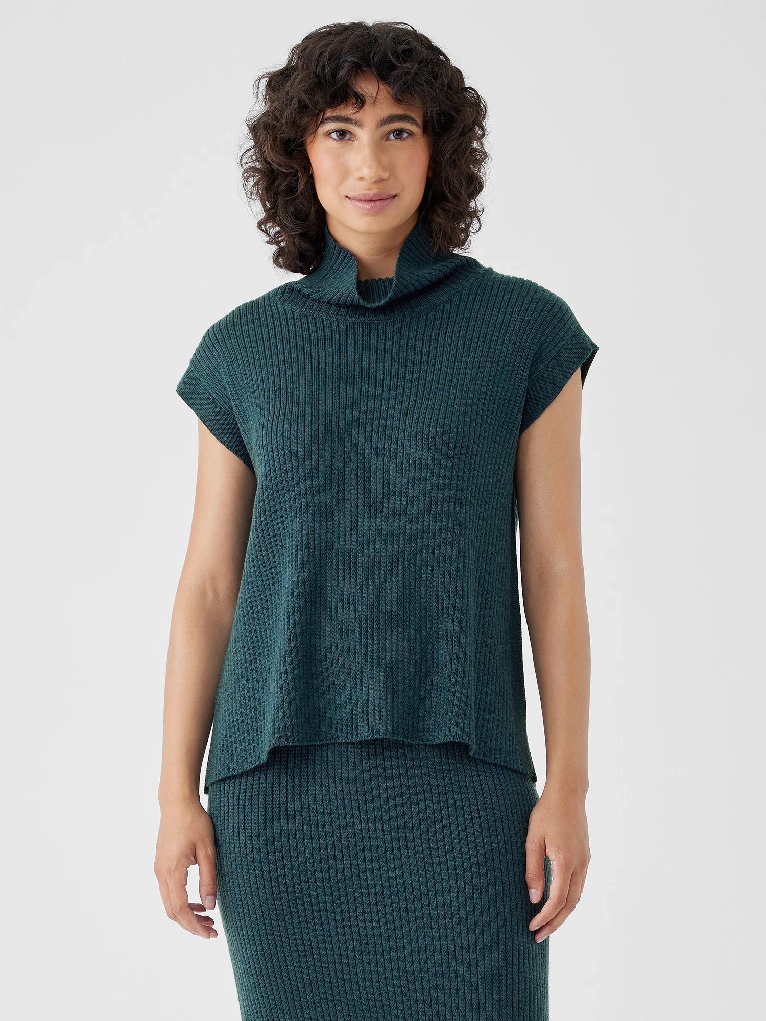 EILEEN FISHER Merino Turtleneck Top in Regenerative Woolfemale Product Image