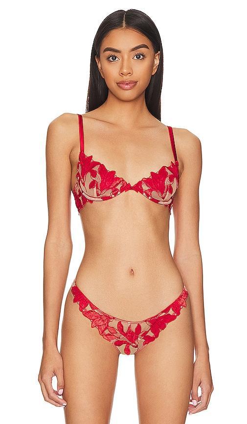 fleur du mal Velvet Lily Embroidery Demi Bra in Red Product Image