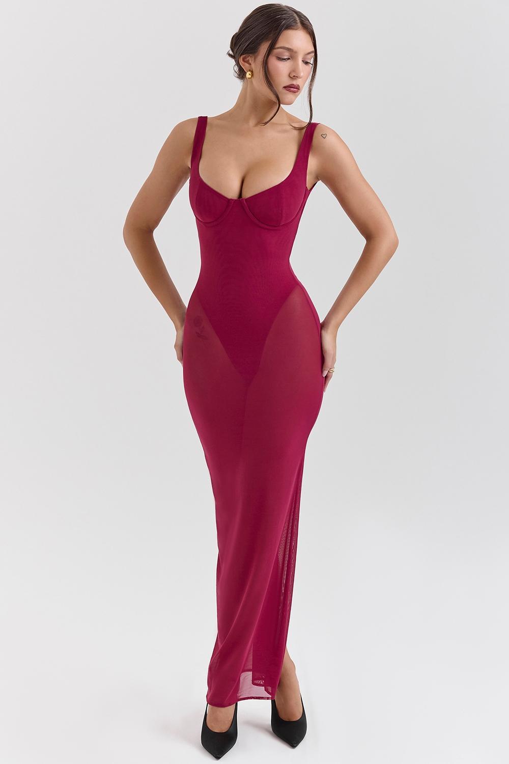 Robina Wine Stretch Mesh Maxi Dress Product Image