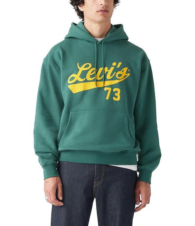 Levi's® Varsity Fleece Graphic Hoodie Product Image