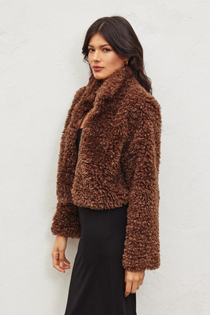 Faux Fur Crop Jacket Product Image