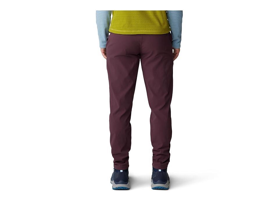 Mountain Hardwear Dynama Ankle Pants (Blackberry) Women's Casual Pants Product Image