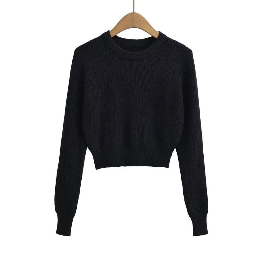 Crew Neck Plain Ribbed Knit Crop Sweater Product Image