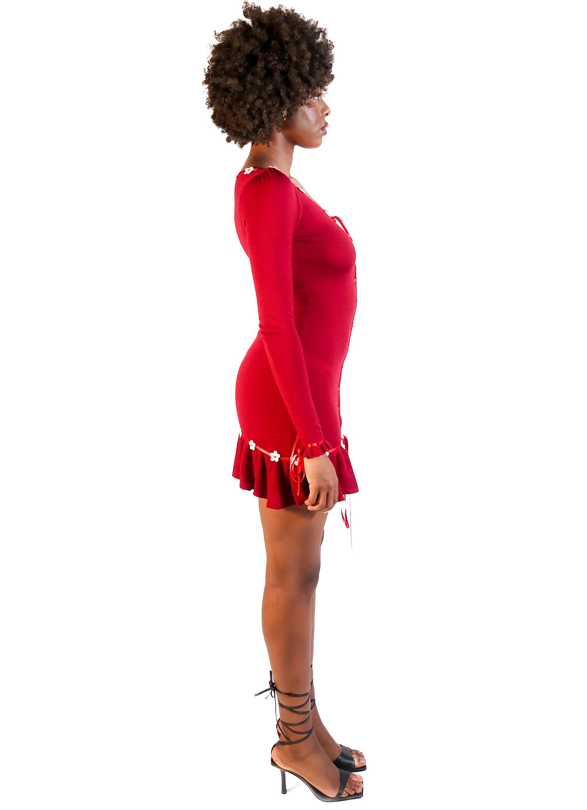 Inaya Mini Dress Red Product Image