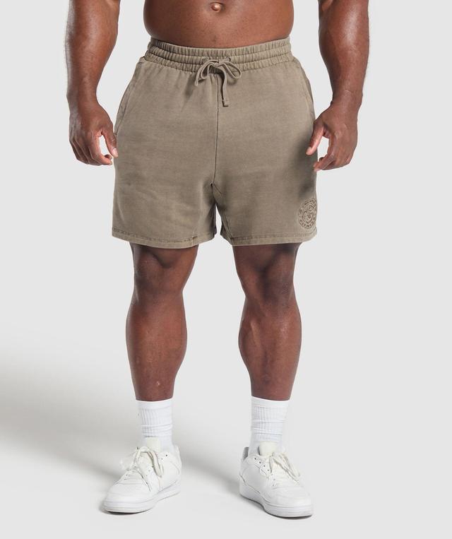 Premium Legacy Shorts Product Image