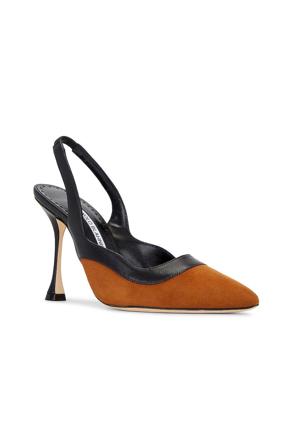 Manolo Blahnik Goga 105 Suede Pump in Brown Product Image