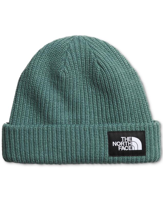 The North Face Mens Salty Beanie Product Image