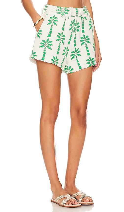 Show Me Your Mumu Boardwalk Shorts Size L, M, XS. Product Image