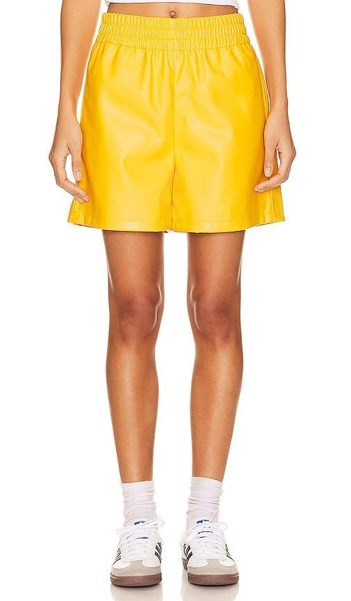 Frances Shorts Product Image