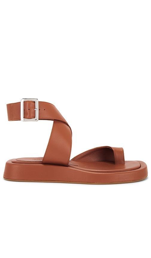 x REVOLVE Roxanne Sandal Product Image