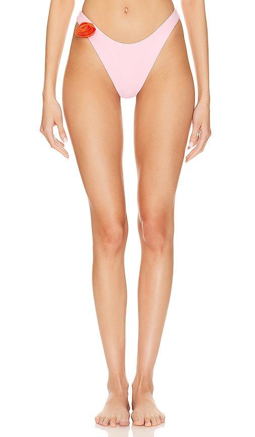 Lucia Bikini Bottom Product Image