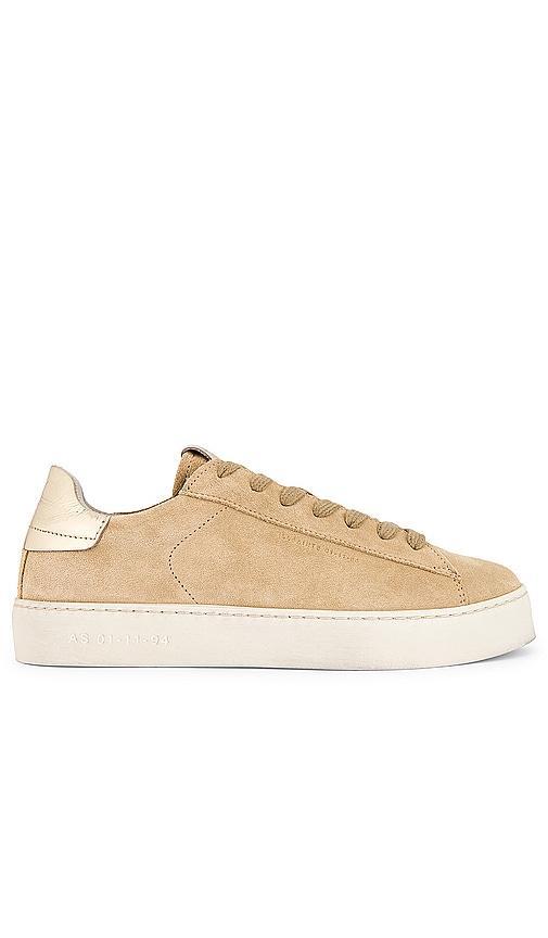 Shana Suede Sneaker Product Image