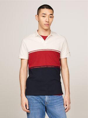 Regular Fit Colorblock Polo Product Image