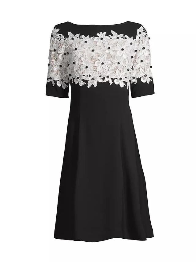 Lace Fit & Flare Crepe A-Line Dress Product Image