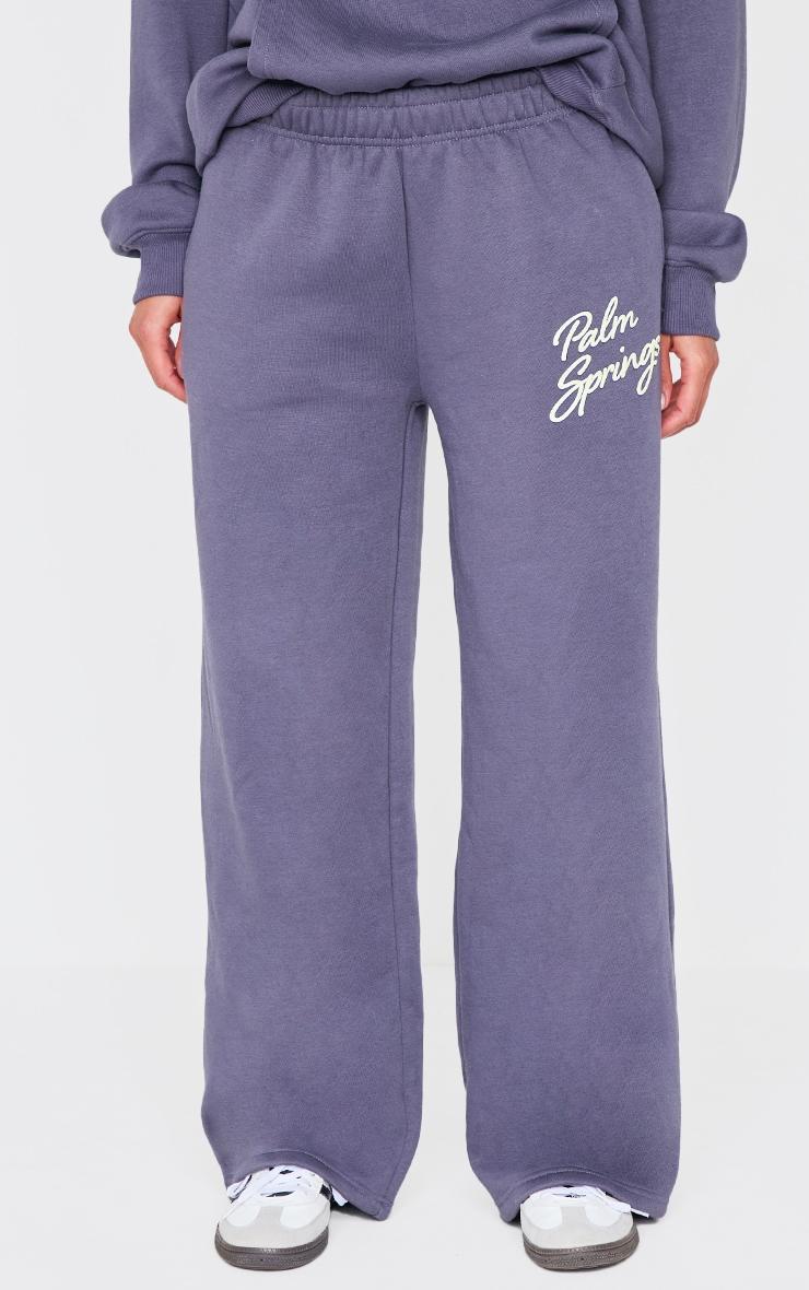 Navy Palm Springs Print Wide Leg Sweatpants Product Image