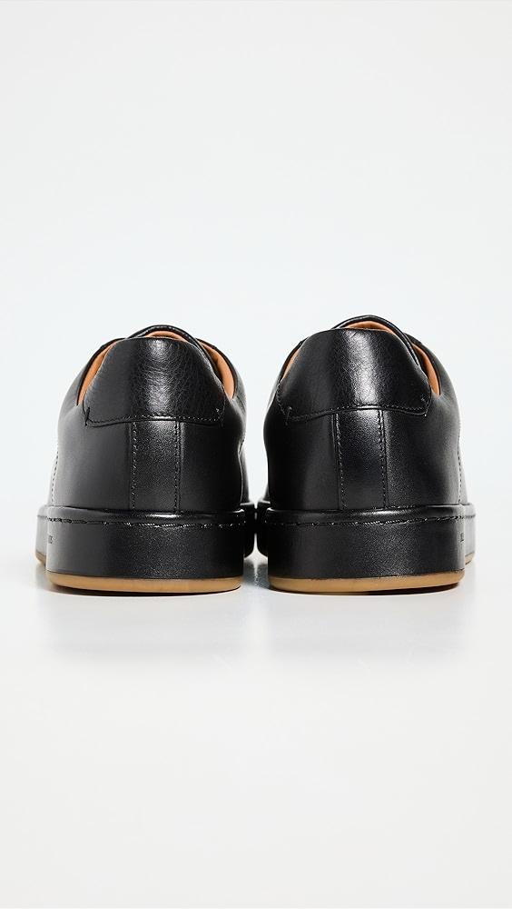 Allen Edmonds Barnes Sneakers | Shopbop Product Image