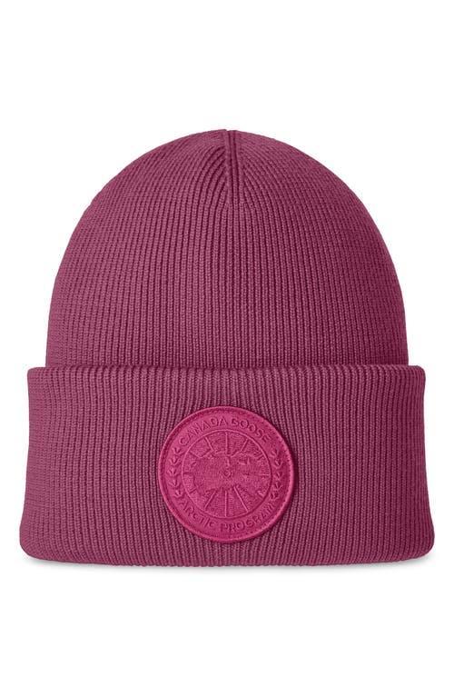 Womens Arctic Disc Rib-Knit Hat Product Image