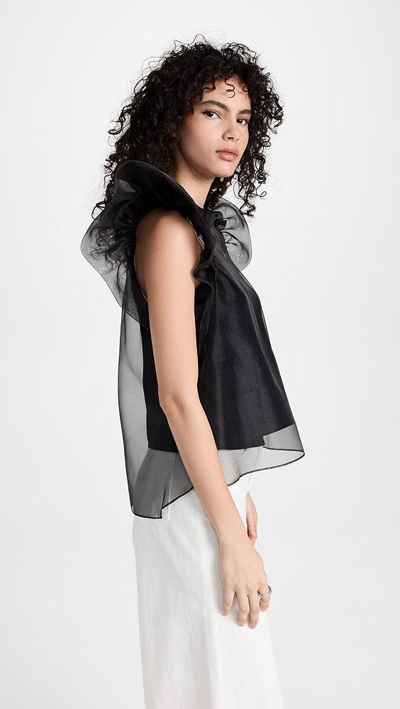 SIMKHAI Corina Organza Ruffle Sleeve Crew Neck Top | Shopbop Product Image