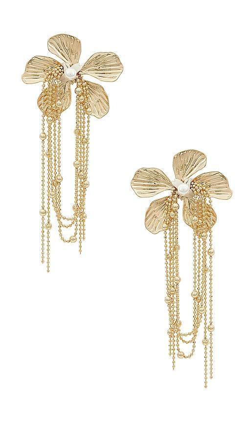 Caspian Earrings Product Image