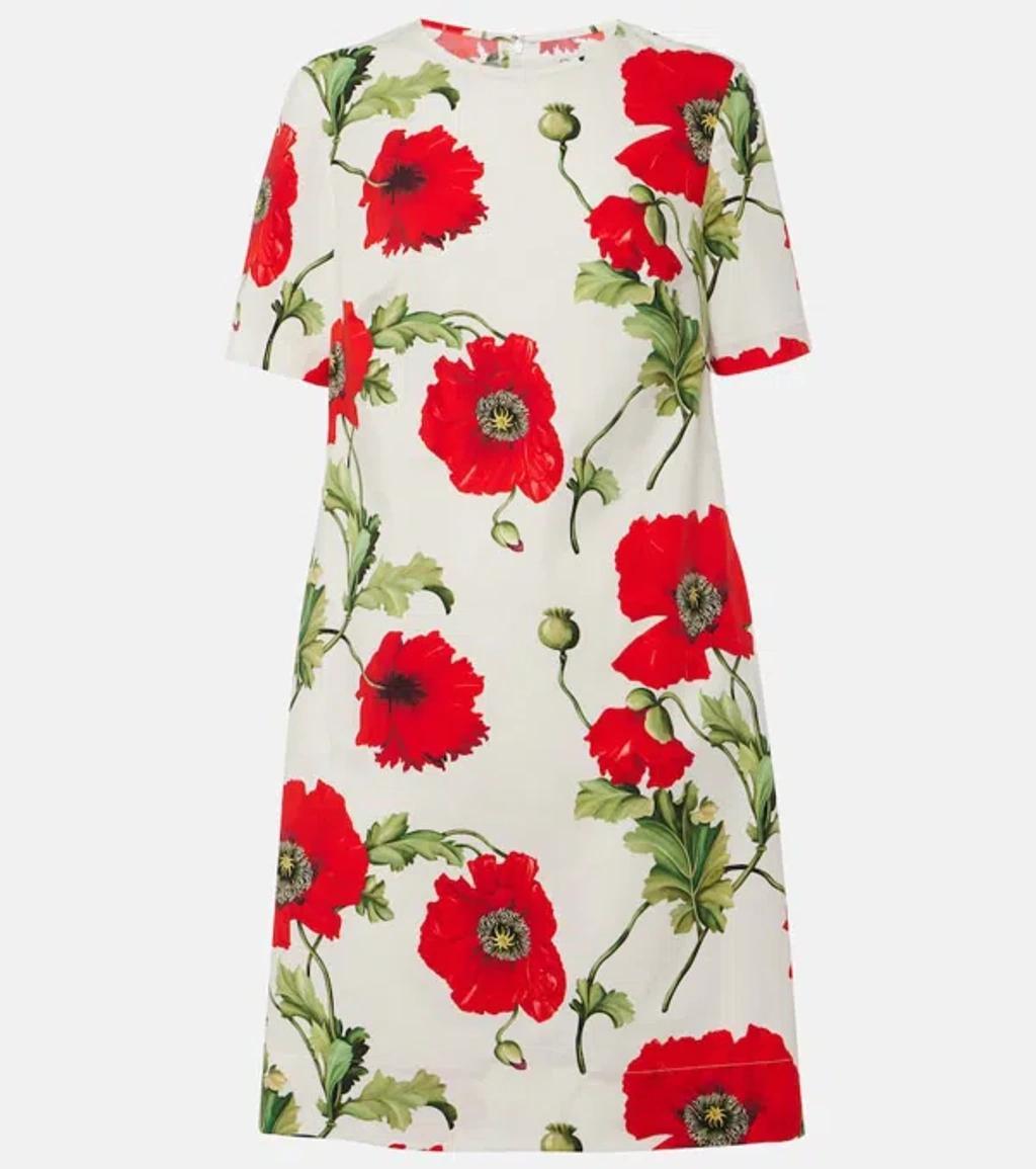 OSCAR DE LA RENTA Floral Cotton-blend Minidress In Multicoloured Product Image