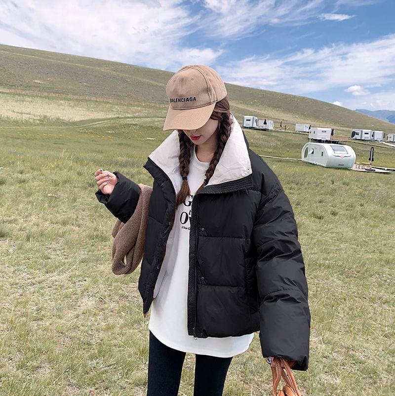 Plain Zip-Up Puffer Jacket Product Image