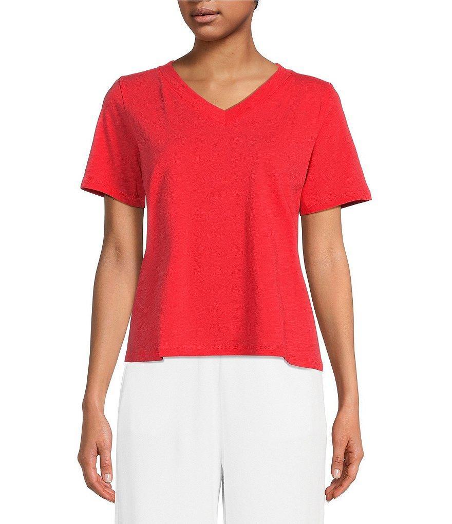 Eileen Fisher Organic Cotton Slubby Jersey Knit V-Neck Short Sleeve Tee Shirt Product Image