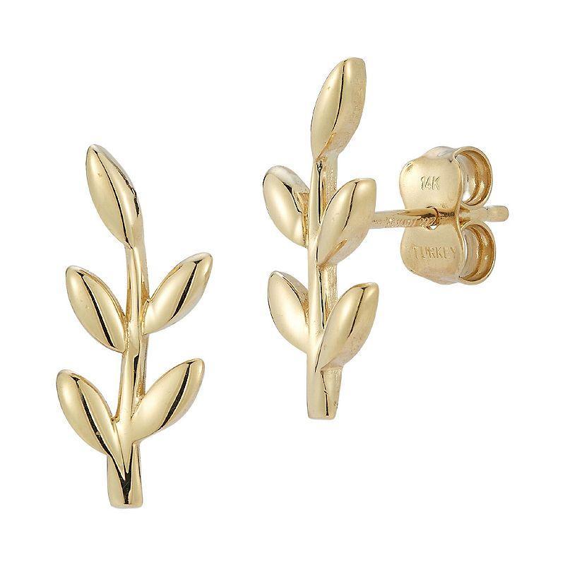 LUMINOR GOLD 14k Gold Leaf Stud Earrings, Womens, Yellow Product Image