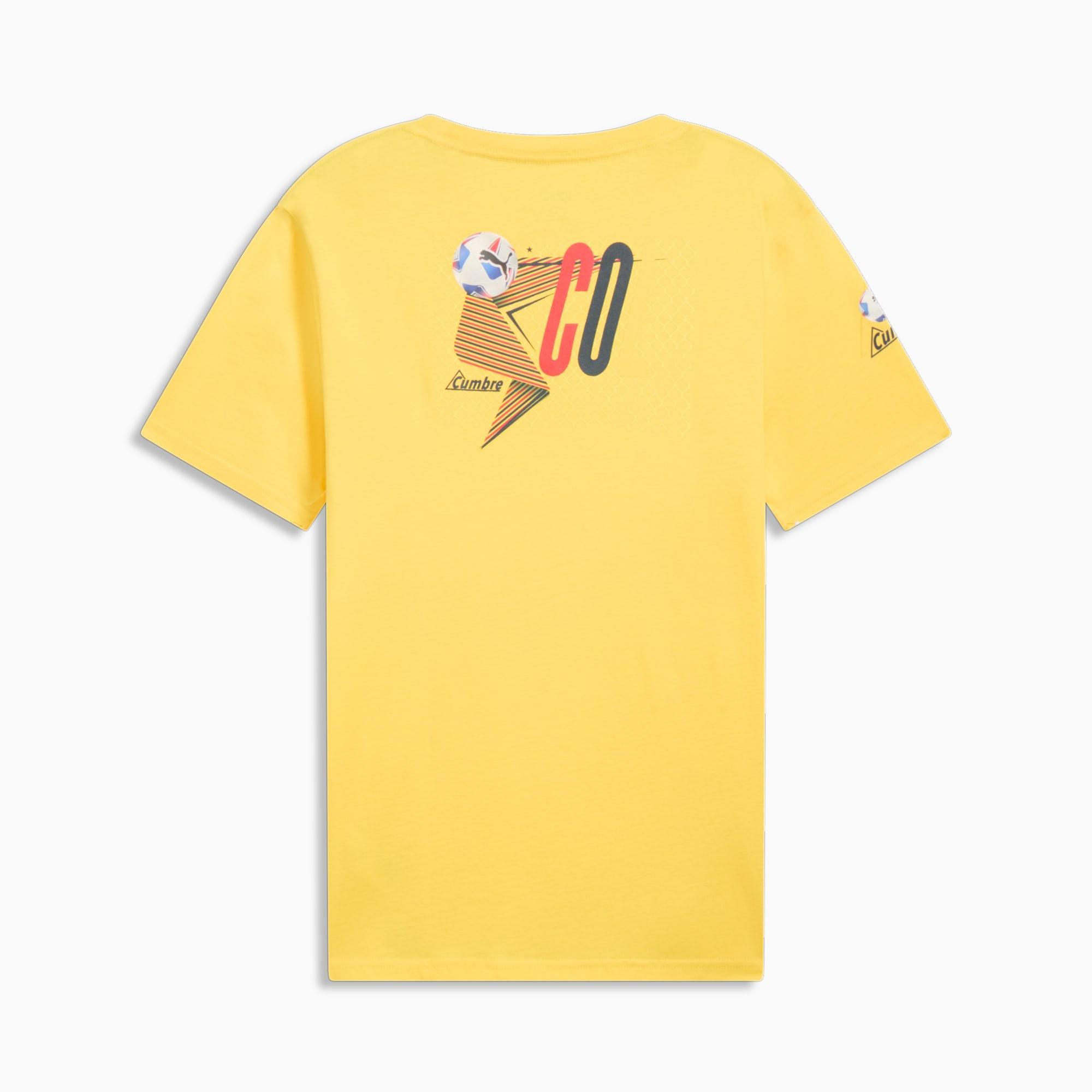 PUMA CONMEBOL Copa América 2024 Colombia Men's Tee Product Image