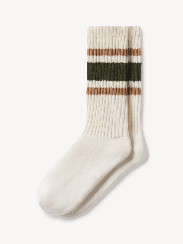 Morrel/Dark Fern Sport Stripe Sock Product Image