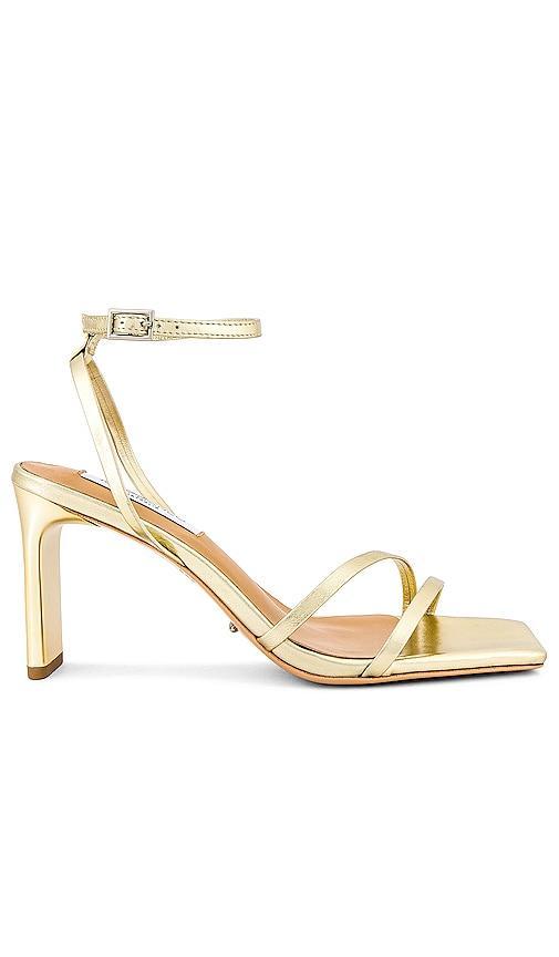 Tony Bianco Corso Heel in Metallic Gold. Size 10, 5, 5.5, 6, 6.5, 7, 8, 8.5, 9. Product Image