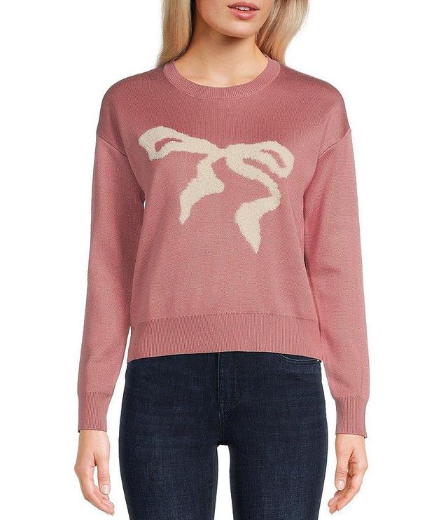 Evolutionary Long Sleeve Crew Neck Ribbon Pullover Sweater Product Image