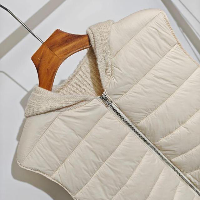 Hooded Plain Zip Puffer Vest Product Image