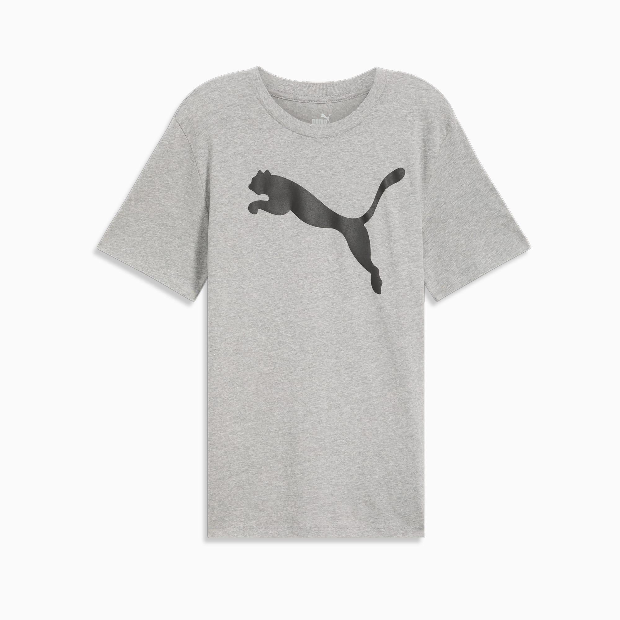 Essentials Big Cat Men's Tee Product Image