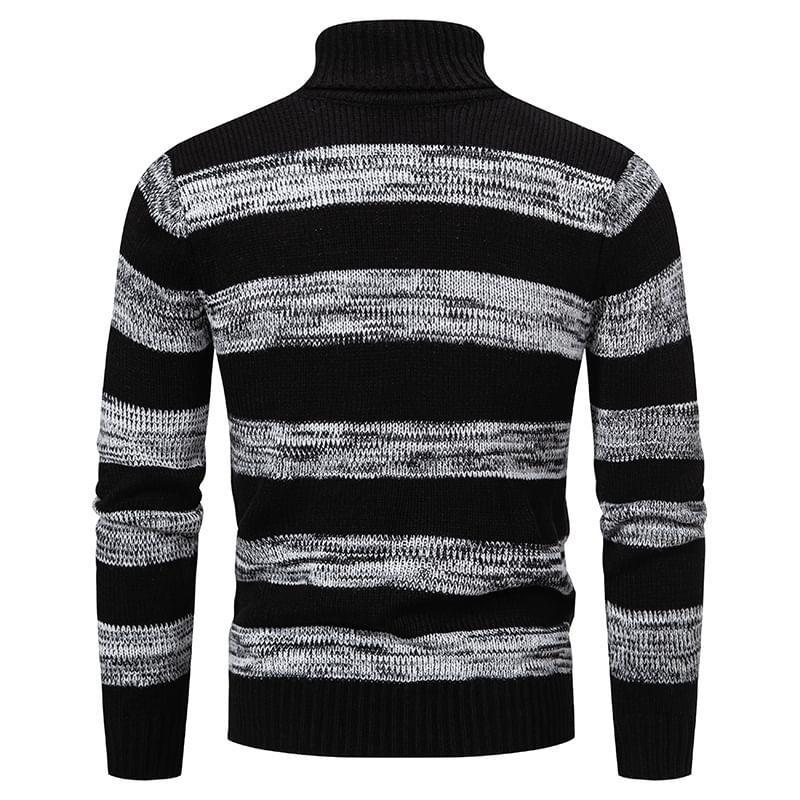 Turtleneck Striped  Sweater Product Image