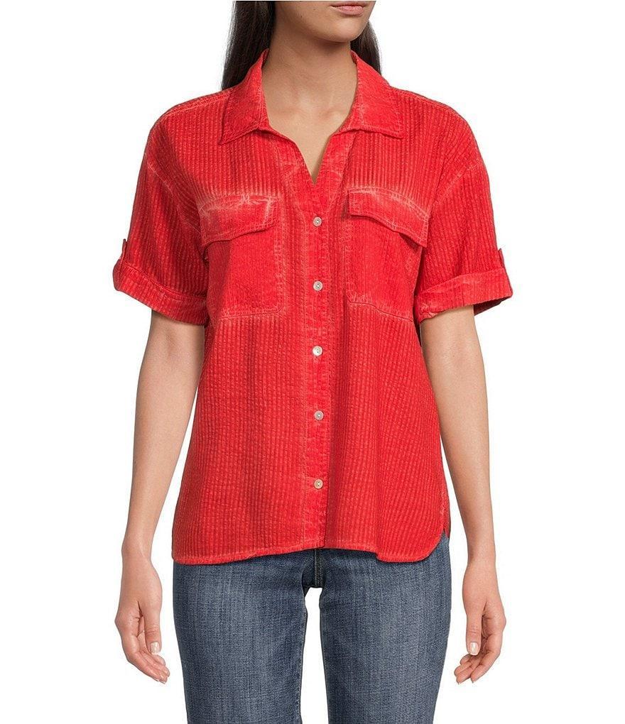 Tru Luxe Jeans Button Front Woven Short Sleeve Top Product Image