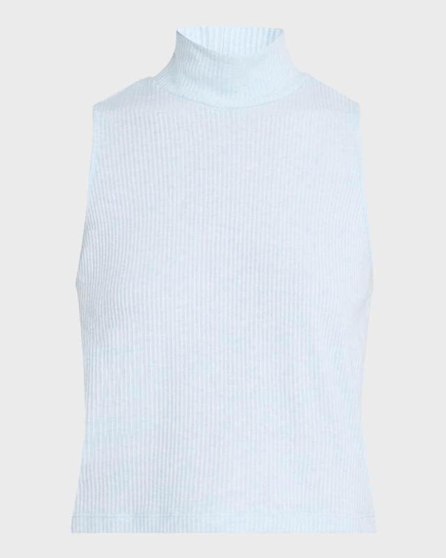 Jasmin Rib-Knit Turtleneck Top Product Image