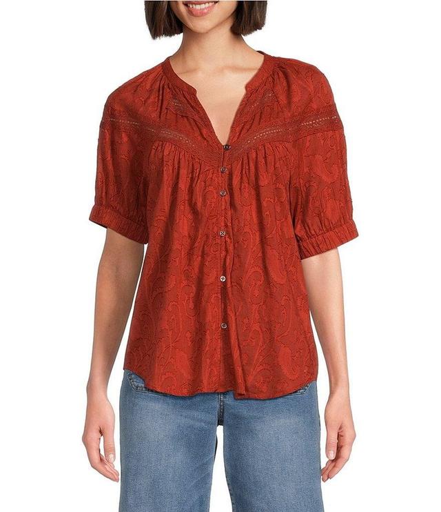 Nurture by Westbound Elbow Sleeve Button Down Top Product Image