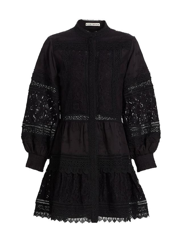 Womens Cailin Embroidered Minidress Product Image