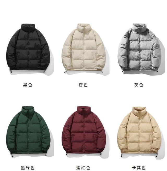 Stand Collar Plain Zip-Up Puffer Jacket Product Image