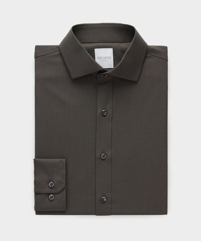 Merino Spread Collar Dress Shirt Product Image