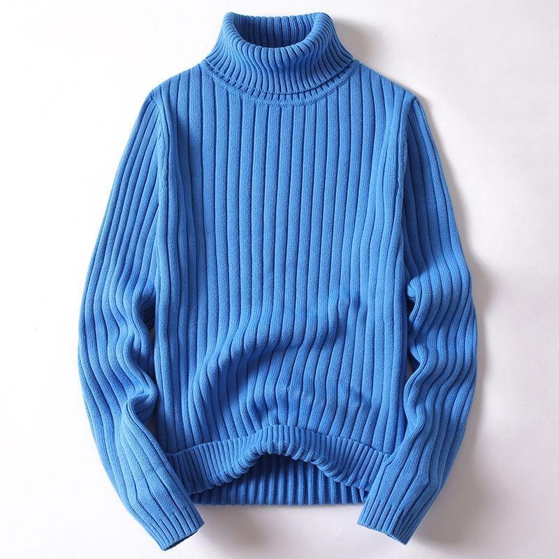 Turtleneck Plain Sweater Product Image