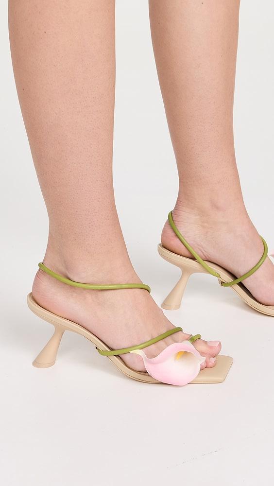 Cult Gaia Ria Sandals | Shopbop Product Image