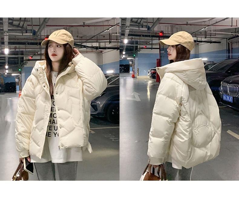 Plain Hooded Zip-Up Puffer Jacket Product Image