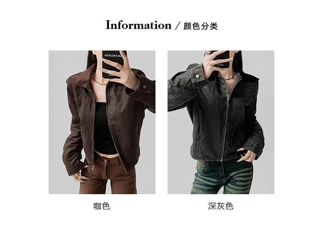 Collar Padded Zip Jacket Product Image