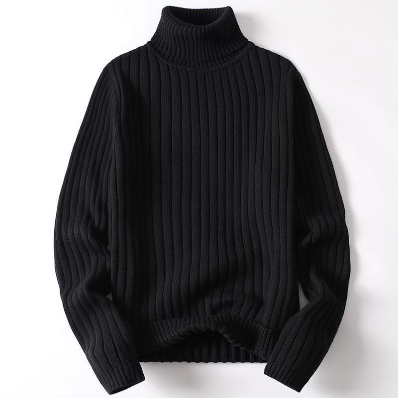 Turtleneck Plain Sweater Product Image