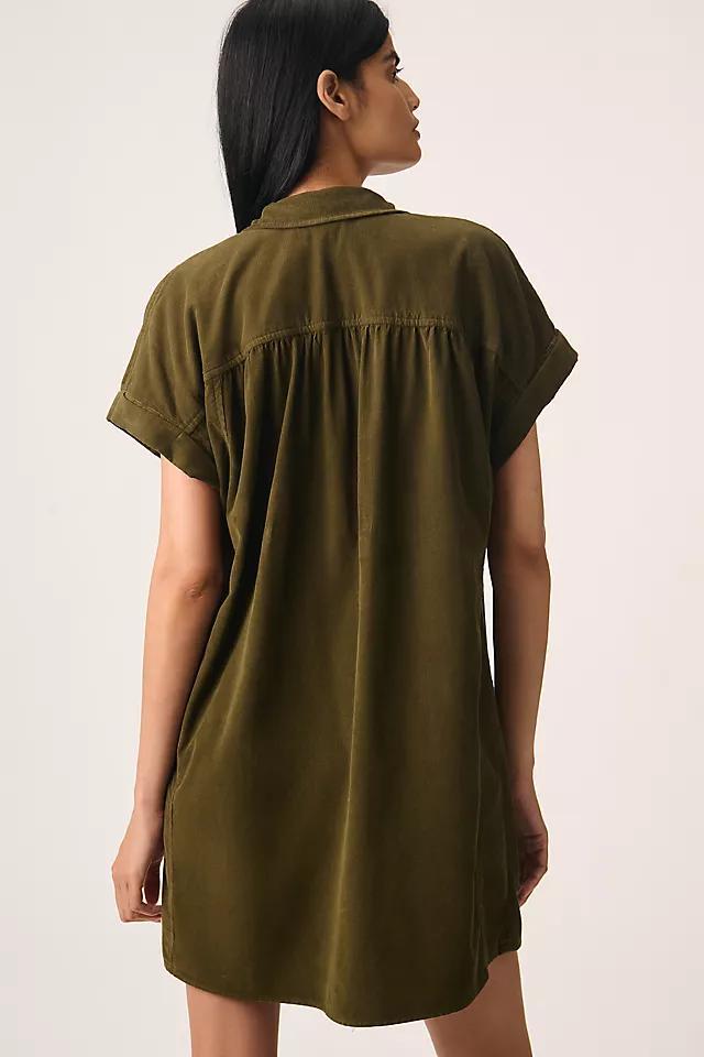 Velvet by Graham & Spencer Macie Button-Front Mini Shirt Dress Product Image