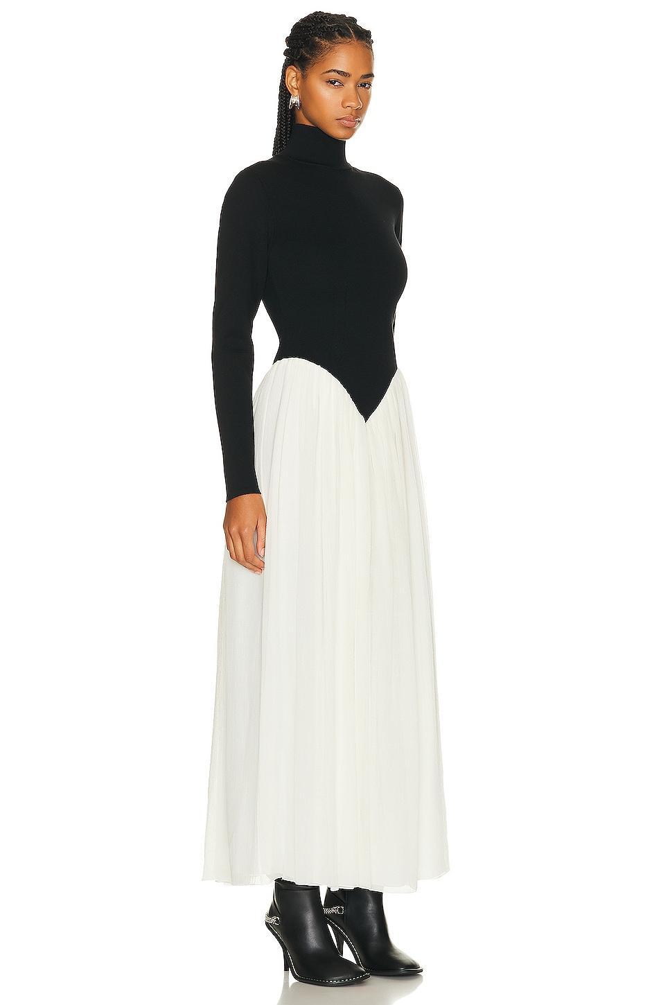 Chloe Colorblock Turtleneck Dress in Black & White 1 - Black,White. Size 38 (also in ). Product Image