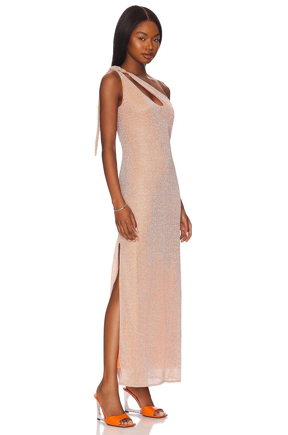 x REVOLVE Taki Maxi Dress Baobab Product Image