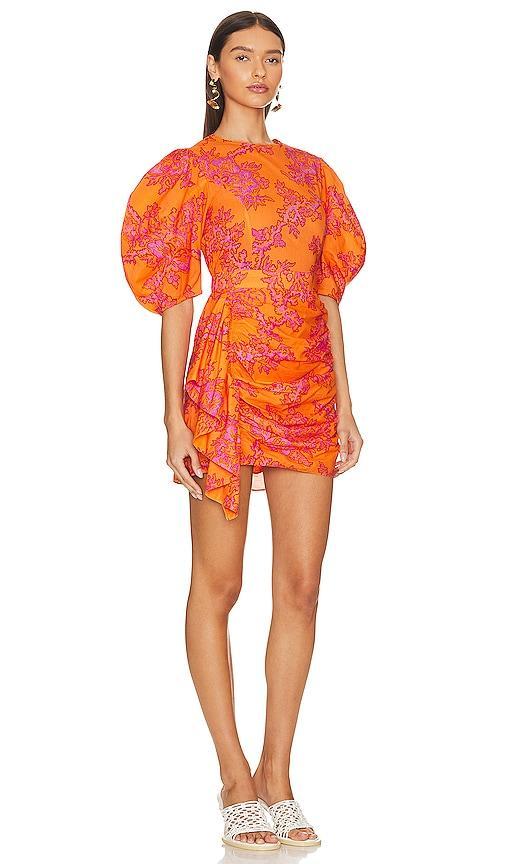 Womens Pia Printed Puff-Sleeve Minidress Product Image